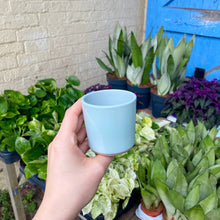 Load image into Gallery viewer, Ceramic Plant Pot For Baby Plants (Blue &amp; Pink)
