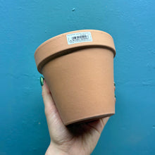 Load image into Gallery viewer, Wonky Plant Pot Bundle E
