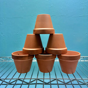 Terracotta Plant Pot 8cm