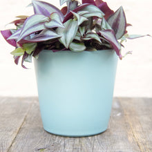 Load image into Gallery viewer, Ceramic Plant Pot (Blue &amp; Grey)
