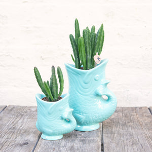 Fish Planter (Shades of Blue)