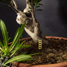 Load image into Gallery viewer, Tiny Birdhouse For Your Plants
