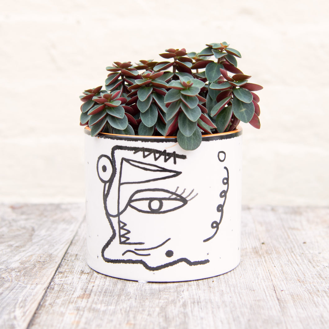 Abstract Face Plant Pot (3 sizes)