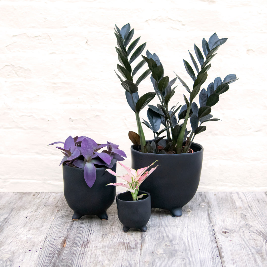 St Tropez Black Pot (3 sizes)